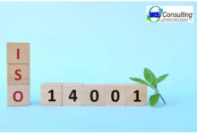 Konsultasi ISO 14001 memberikan pendampingan kepada perusahaan dalam penerapan sistem manajemen lingkungan